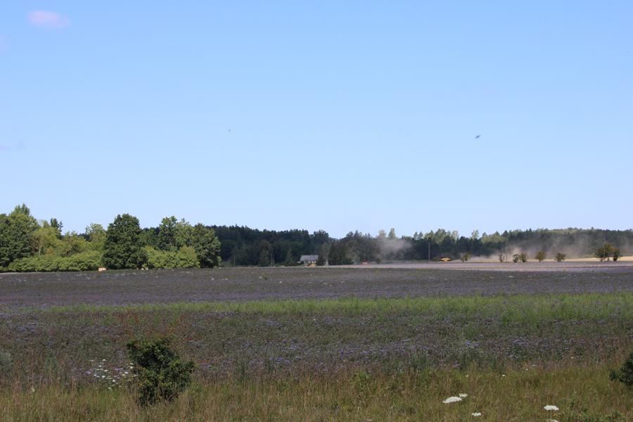 Weite Wiesen in Lettland
